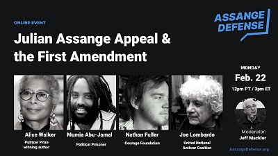 assange webinar image