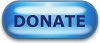 donate button